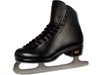 Riedell Ice Skates 110 RS Black GR4 blade set